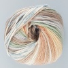 Rico - Baby Dream DK - 010 Beige-Green